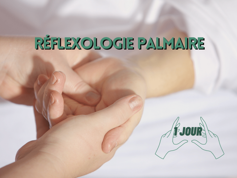 Formation initiation à la réflexologie palmaire – 1 jour